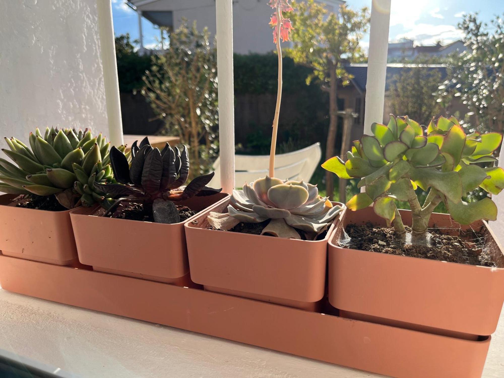 Appartement Deux Pieces Donnant Sur Un Jardin Antibes Luaran gambar